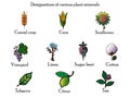 ÃÅ¾ÃÂÃÂ½ÃÂ¾ÃÂ²ÃÂ½Ãâ¹ÃÂµ RGB beautiful icons in the form of various plant minerals